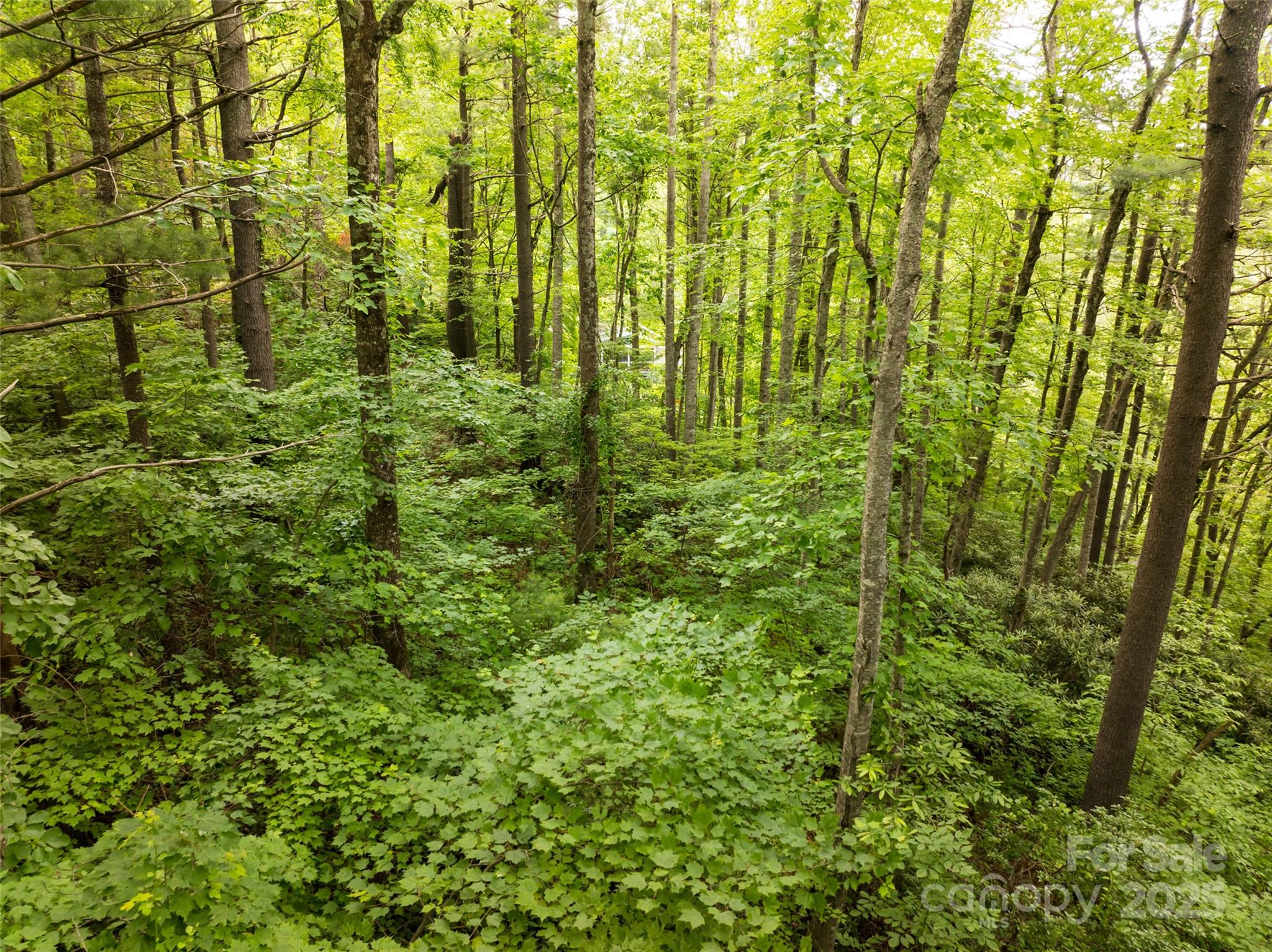 9999 White Oak Gap Road Asheville NC 28803