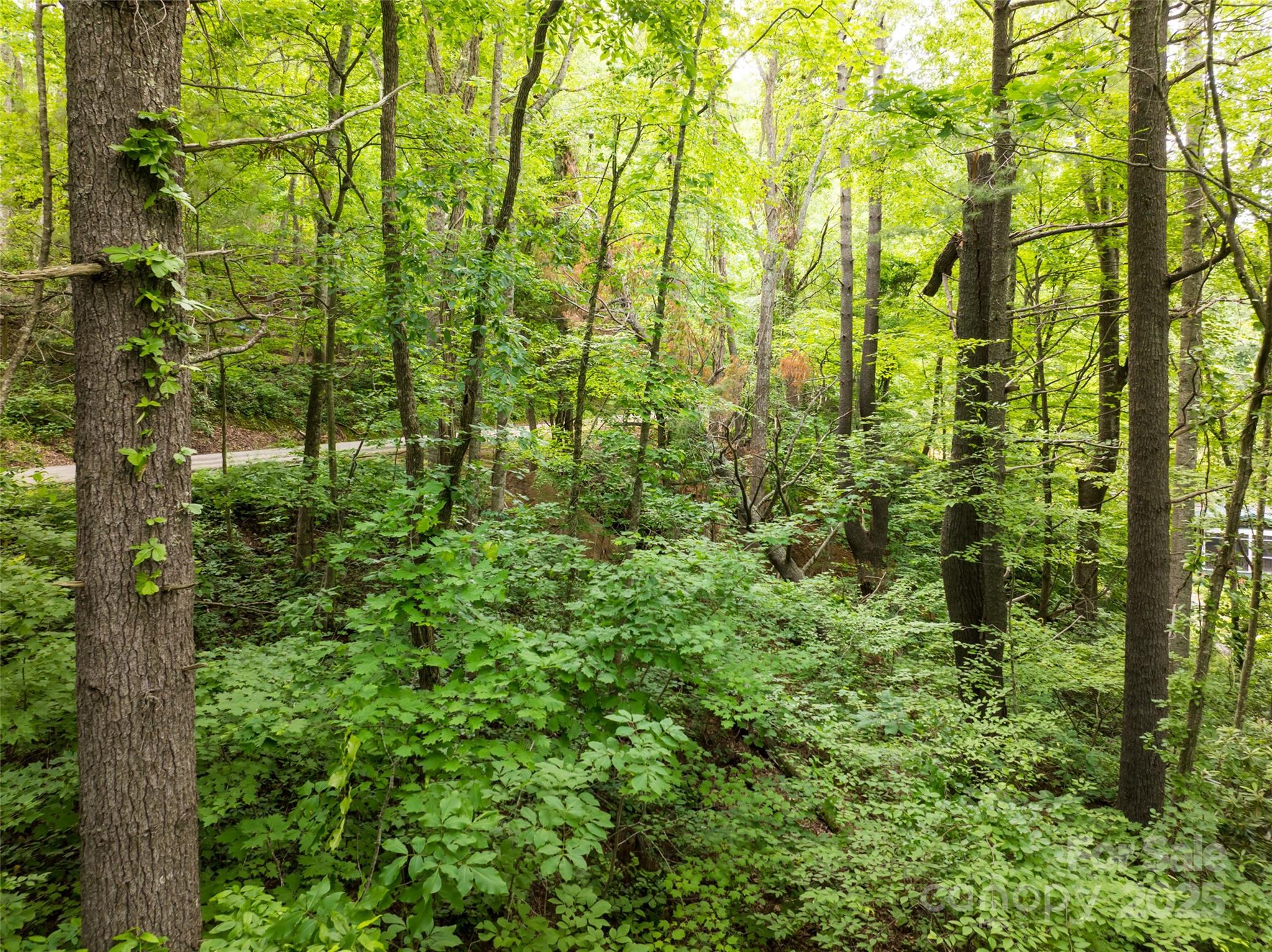 9999 White Oak Gap Road Asheville NC 28803