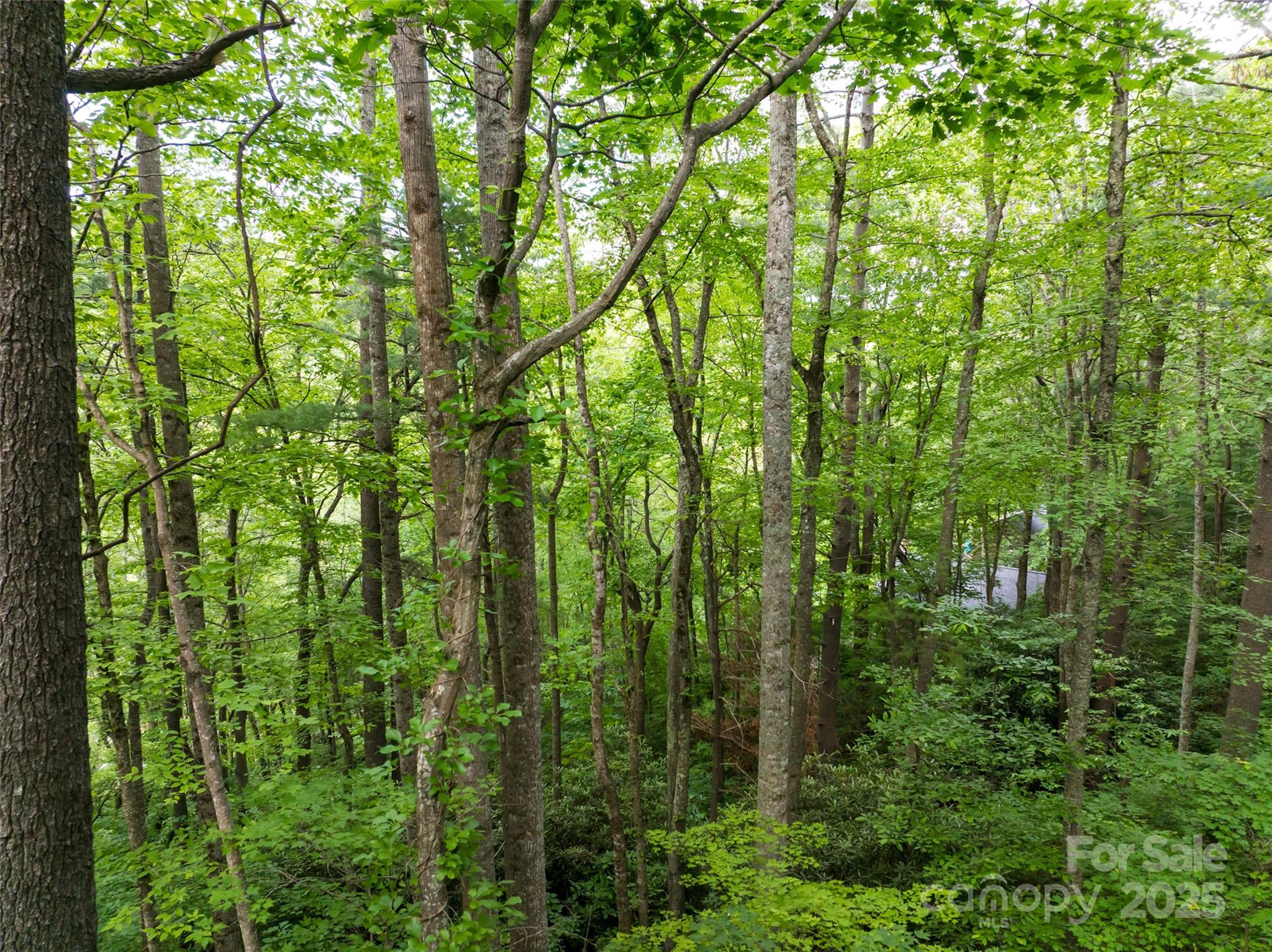 9999 White Oak Gap Road Asheville NC 28803
