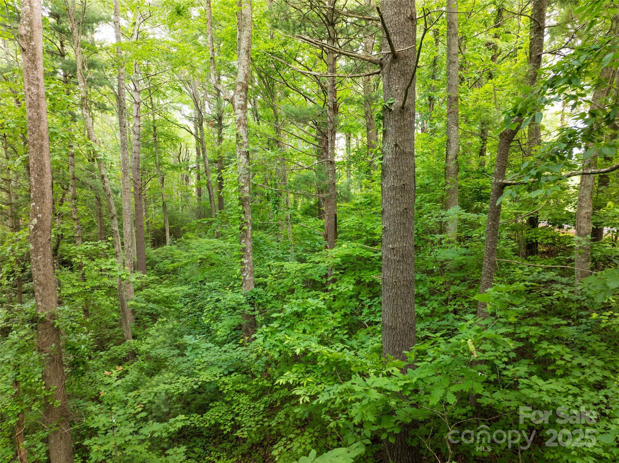 9999 White Oak Gap Road Asheville NC 28803