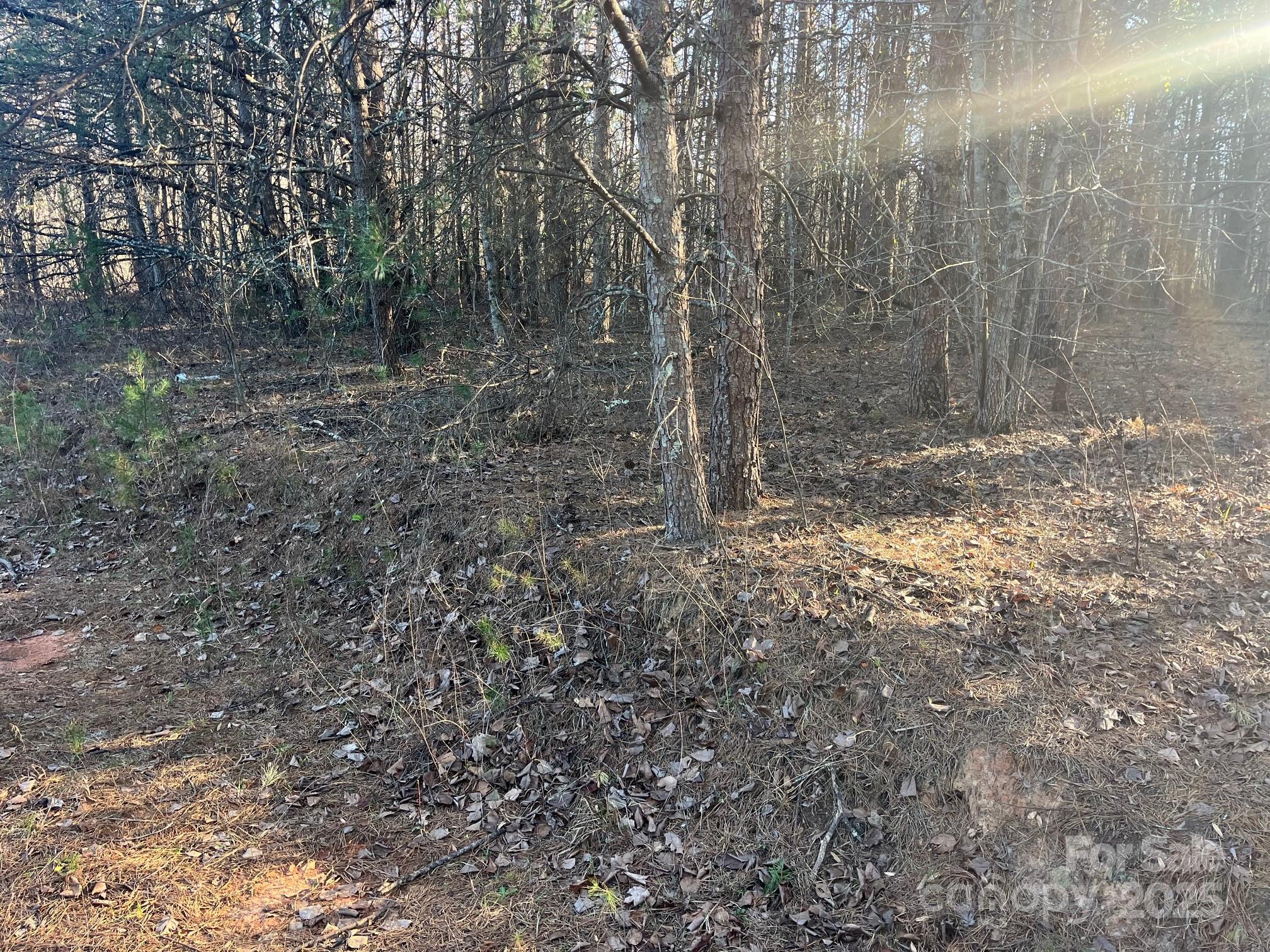 V/l Southern Way Nebo NC 28761