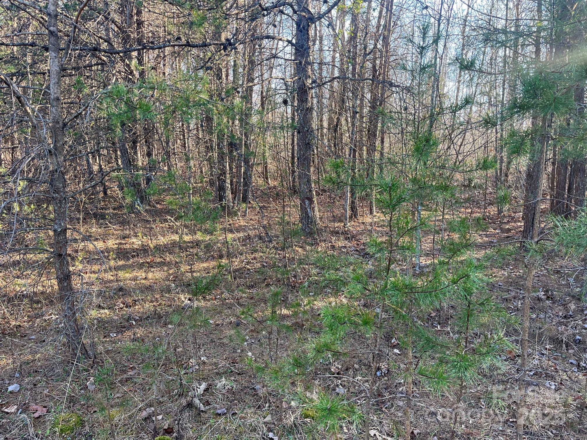 V/l Southern Way Nebo NC 28761