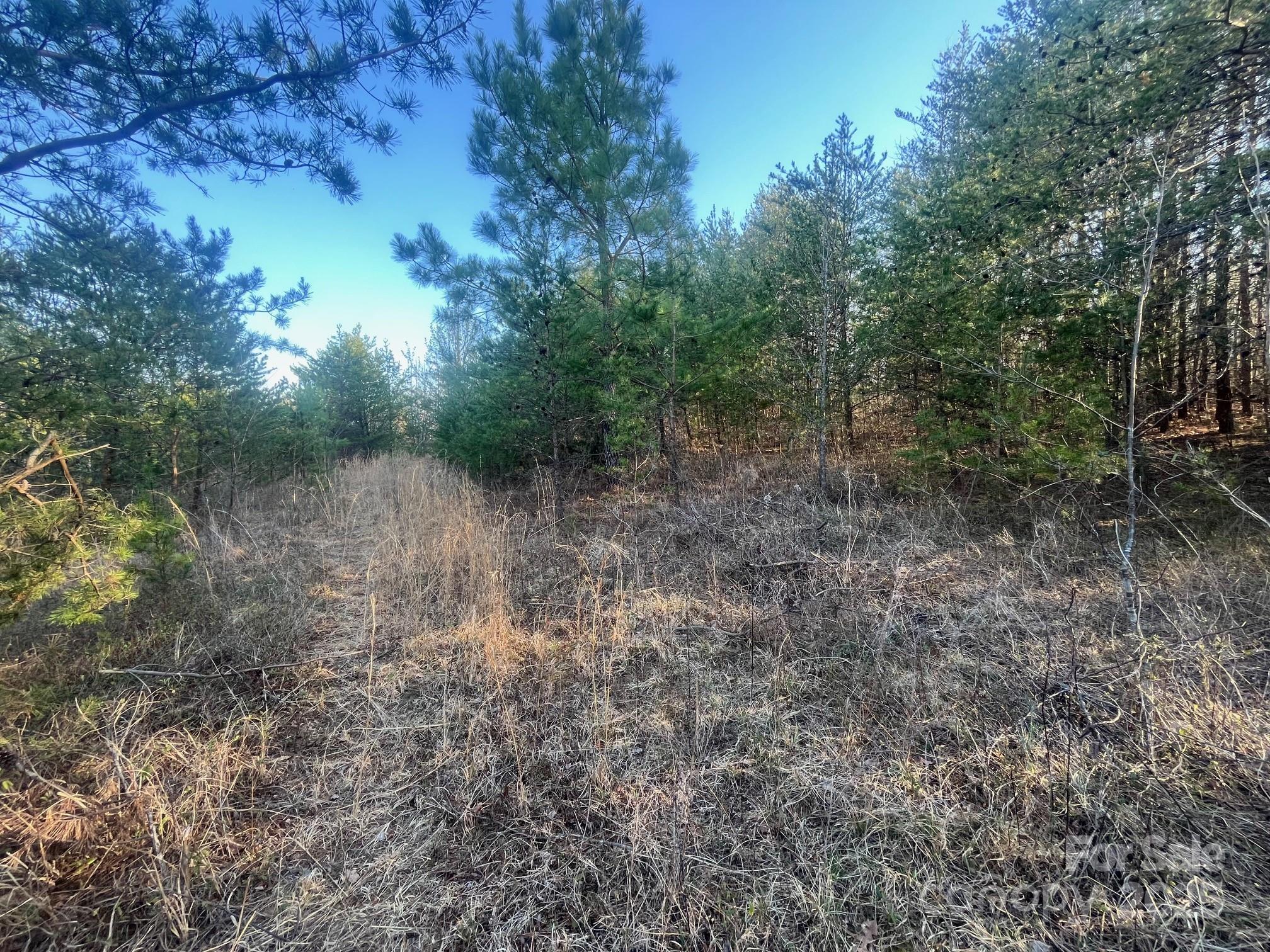 V/l Southern Way Nebo NC 28761