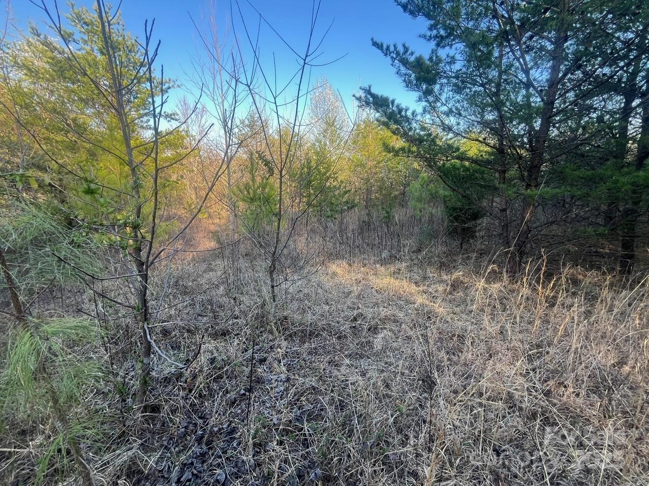 V/l Southern Way Nebo NC 28761