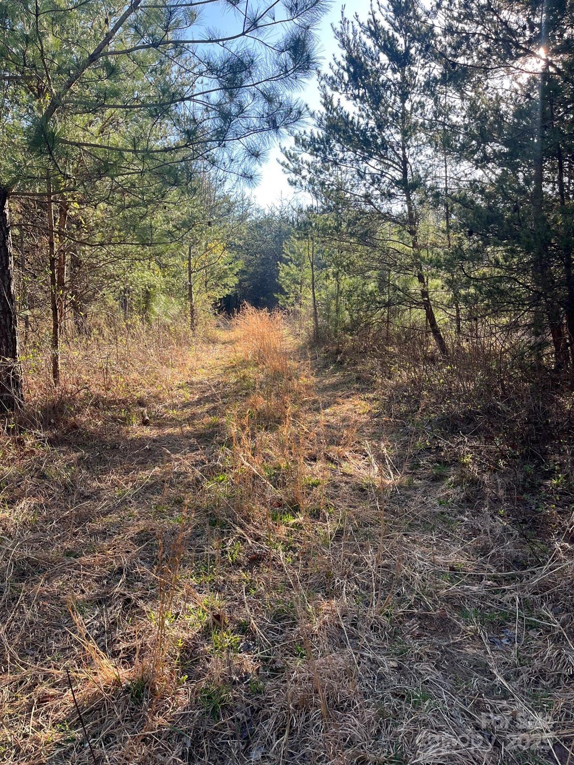 V/l Southern Way Nebo NC 28761