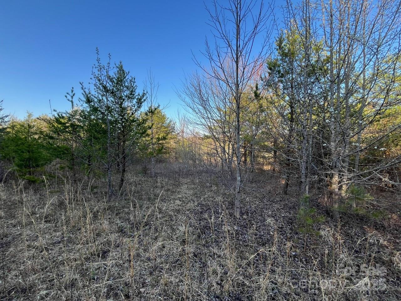 V/l Southern Way Nebo NC 28761