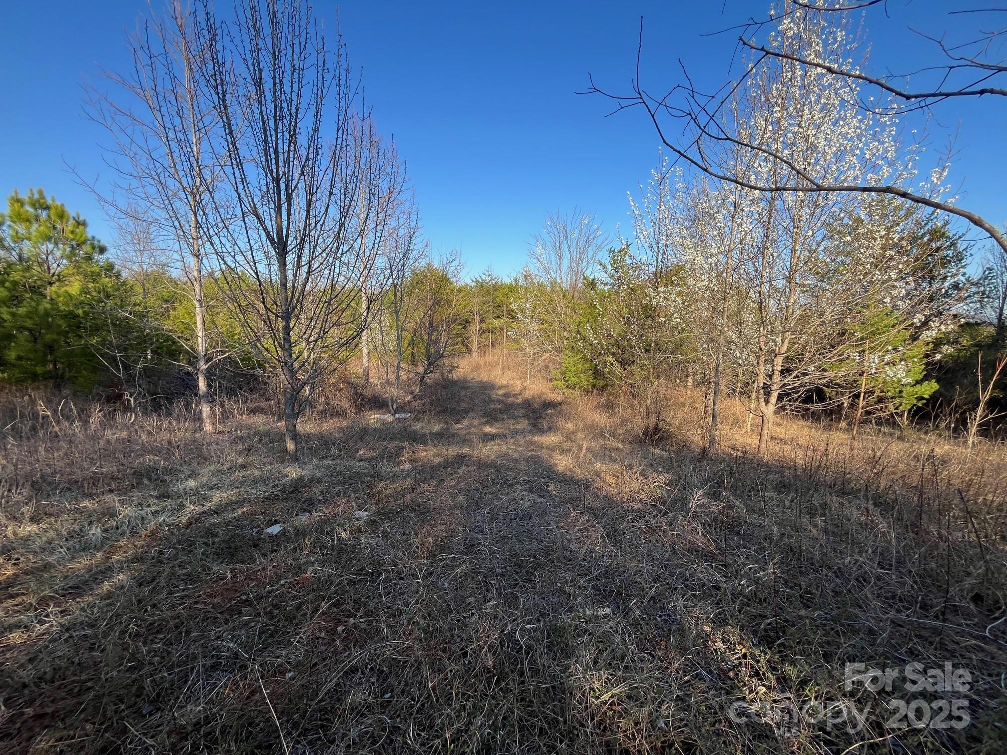 V/l Southern Way Nebo NC 28761
