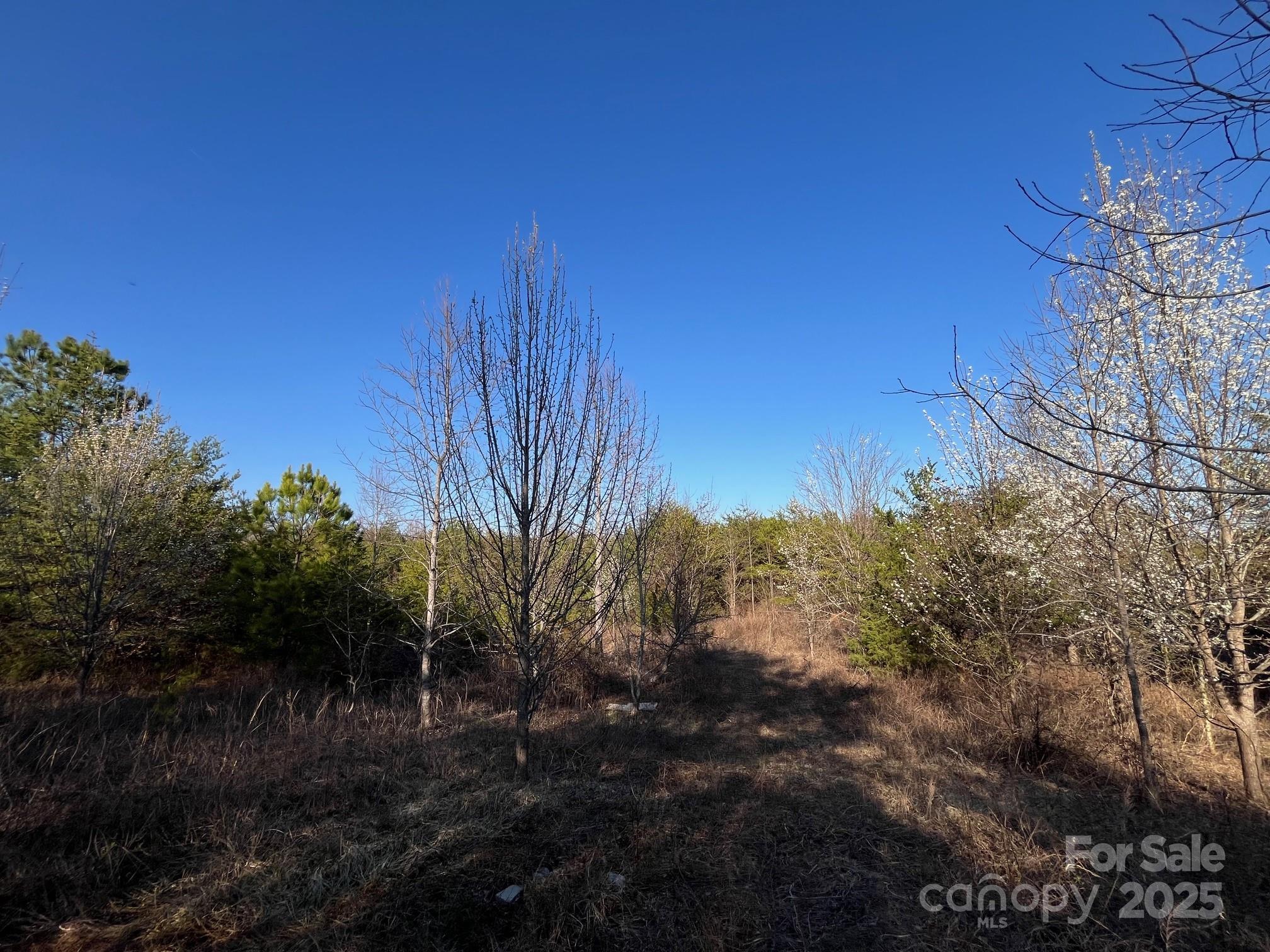 V/l Southern Way Nebo NC 28761