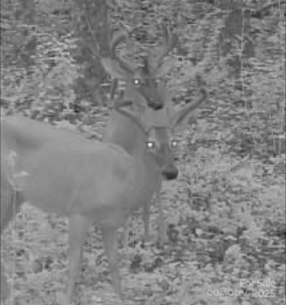 V/l Southern Way Nebo NC 28761
