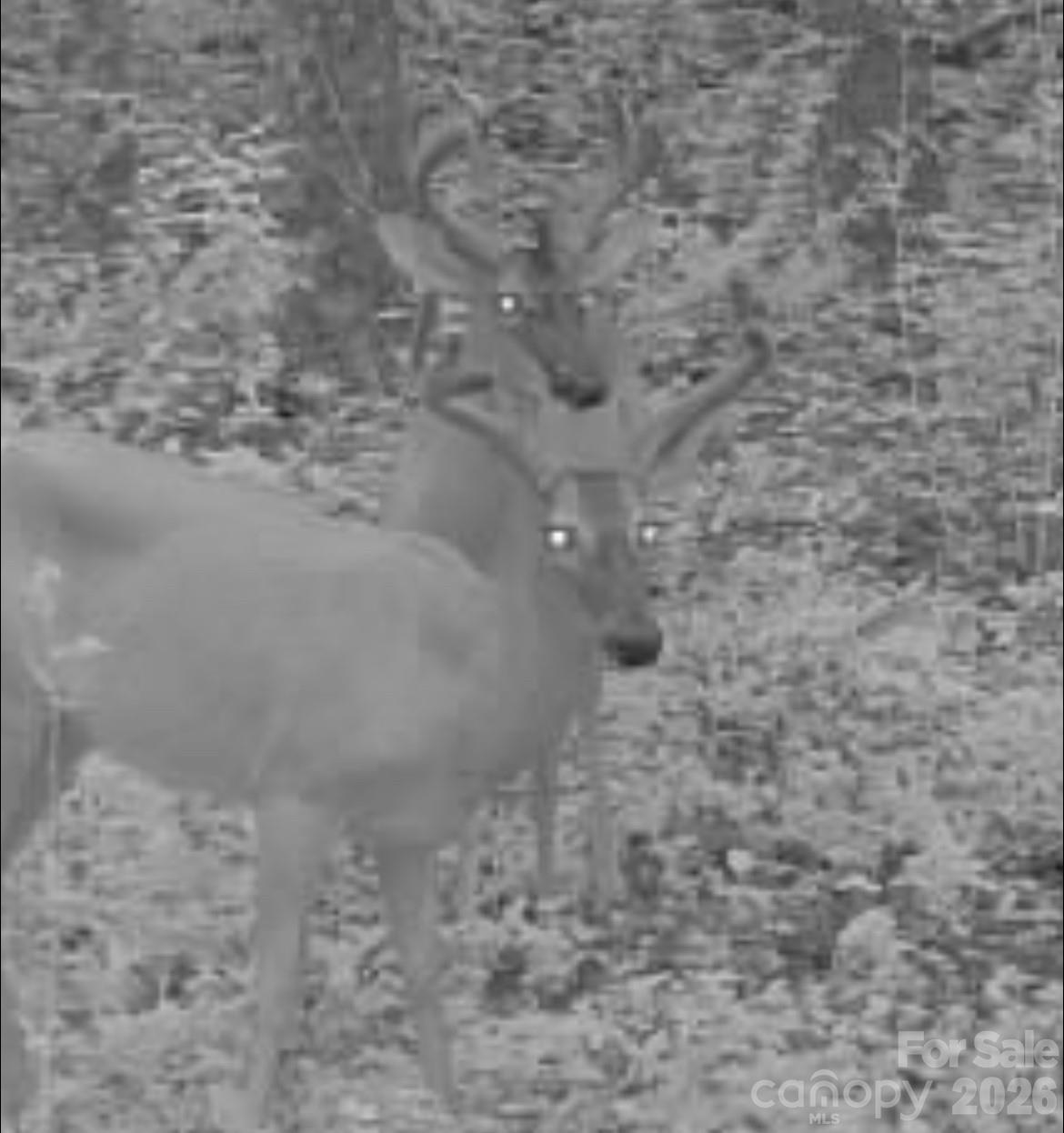 V/l Southern Way Nebo NC 28761