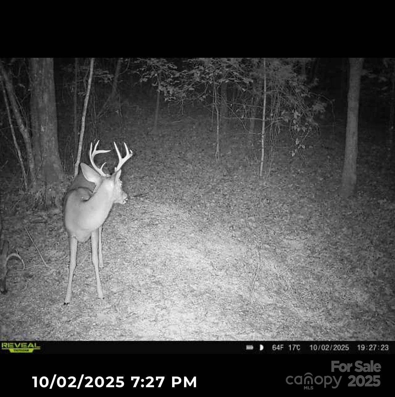 V/l Southern Way Nebo NC 28761