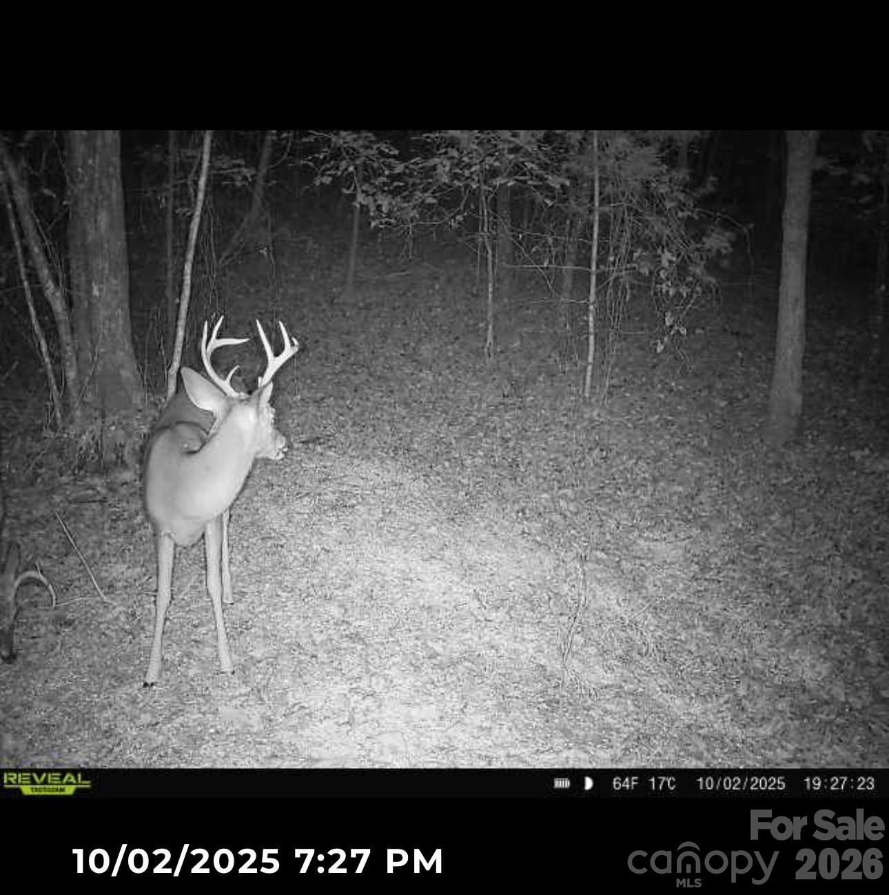 V/l Southern Way Nebo NC 28761