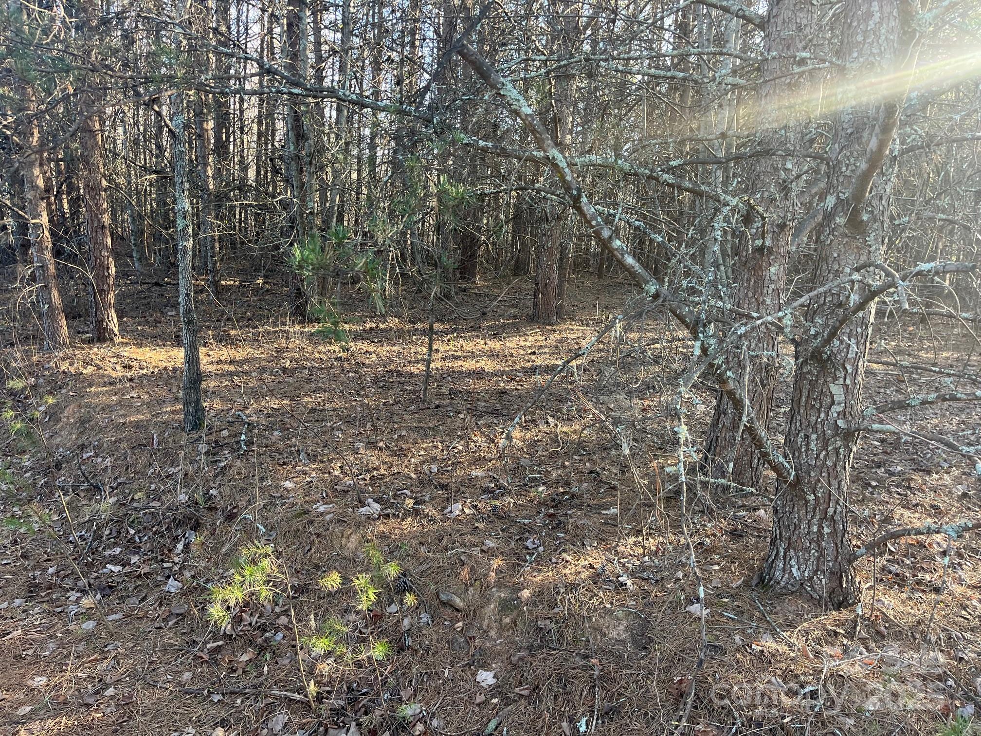 V/l Southern Way Nebo NC 28761