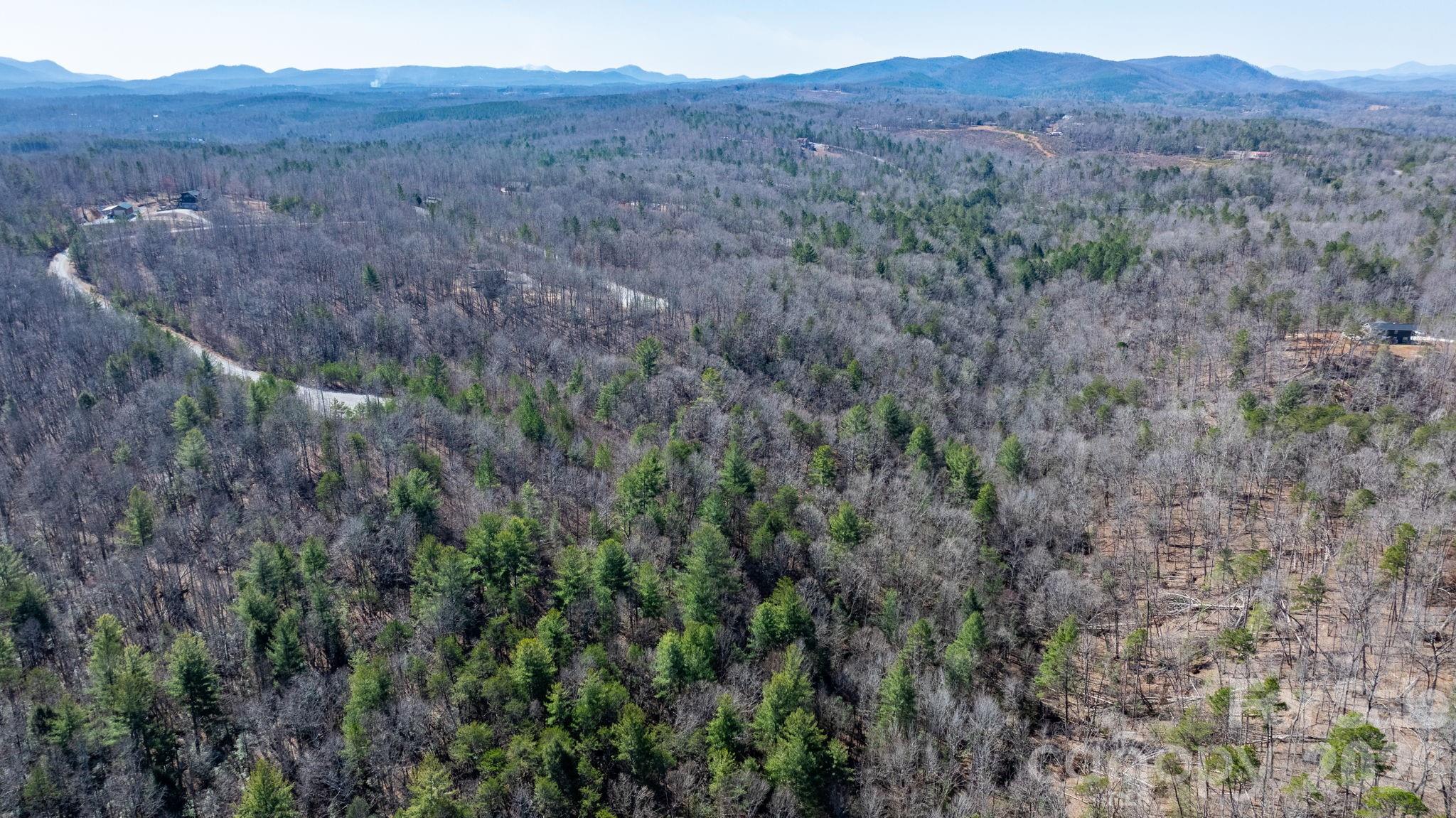 Tbd Dirksen Avenue Nebo NC 28761