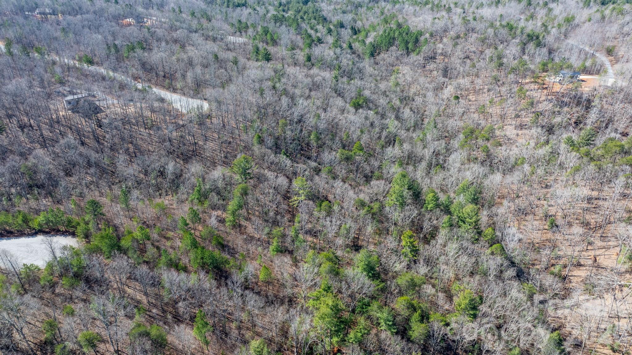 Tbd Dirksen Avenue Nebo NC 28761