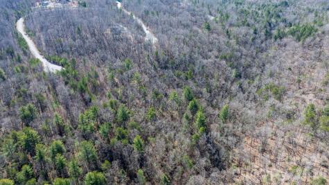 Tbd Dirksen Avenue Nebo NC 28761