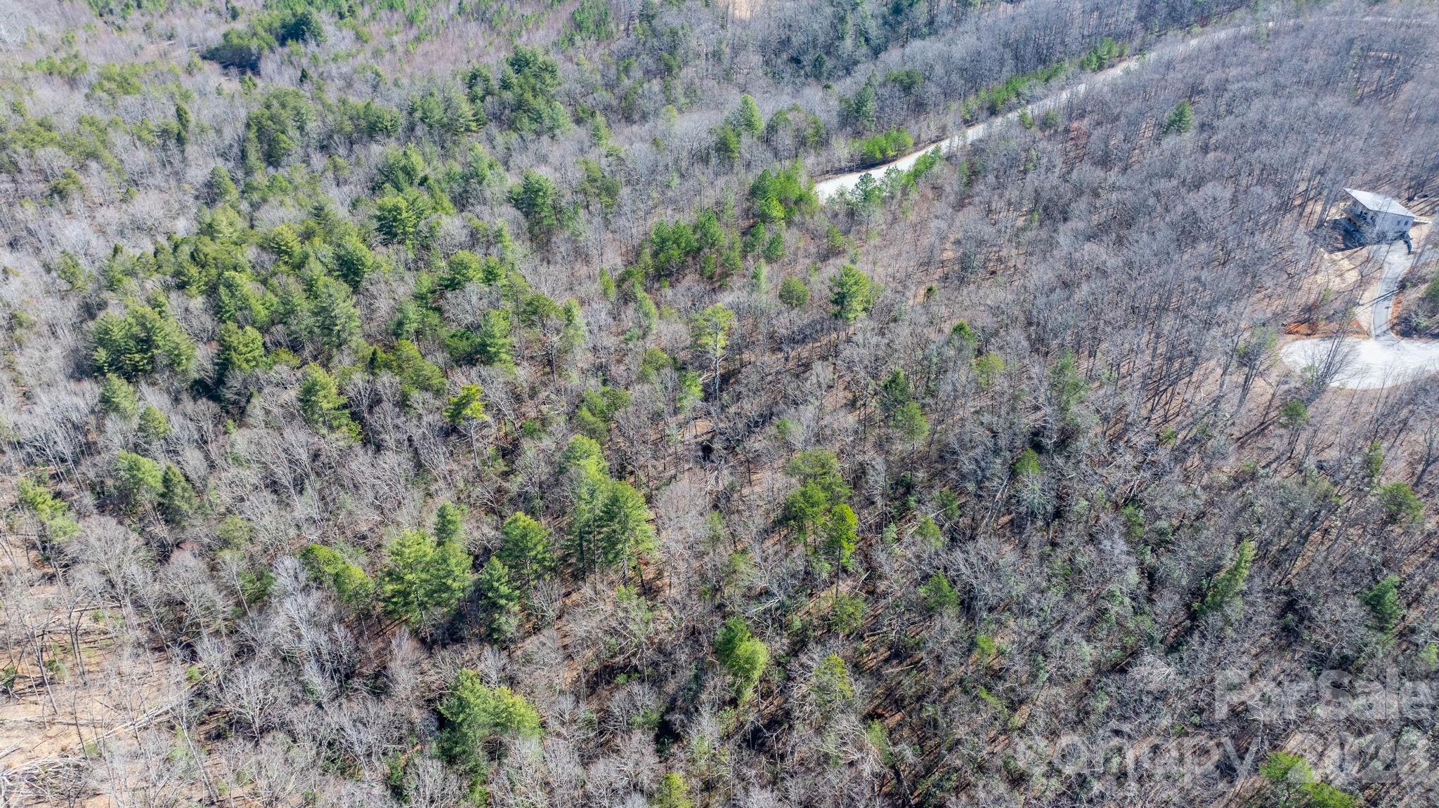 Tbd Dirksen Avenue Nebo NC 28761