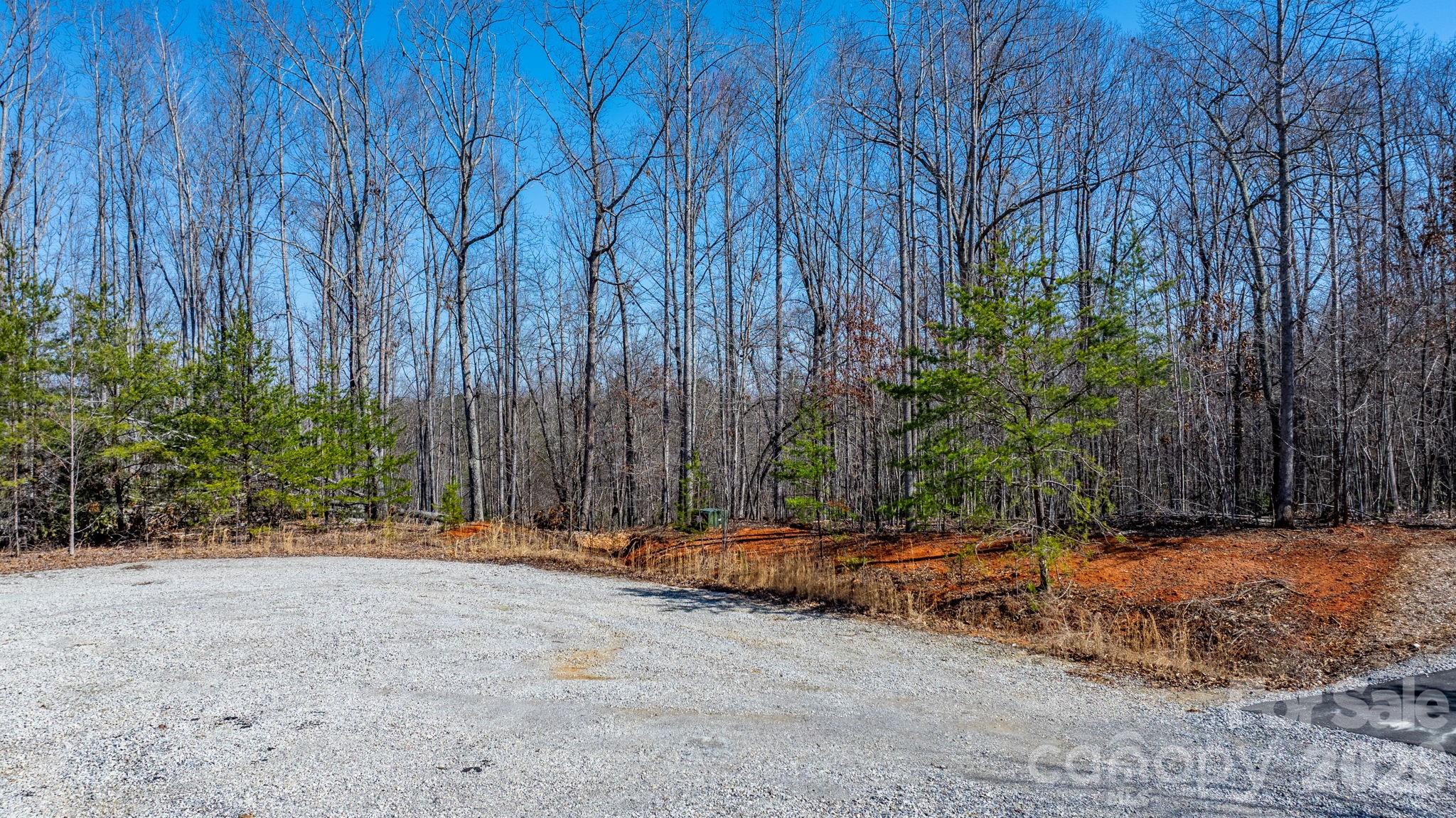 Tbd Dirksen Avenue Nebo NC 28761