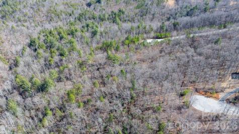 Tbd Dirksen Avenue Nebo NC 28761