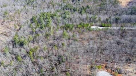 Tbd Dirksen Avenue Nebo NC 28761