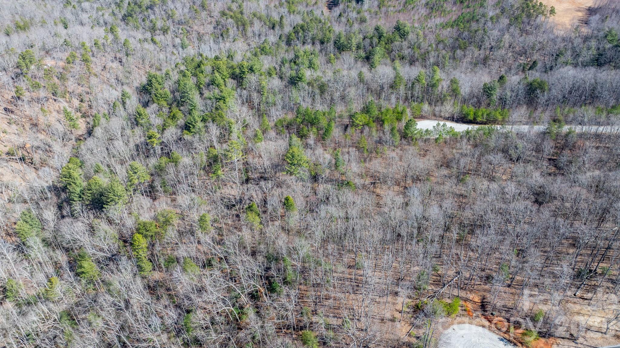 Tbd Dirksen Avenue Nebo NC 28761