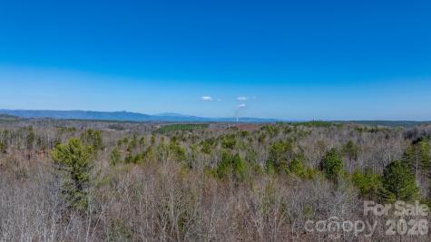 Tbd Dirksen Avenue Nebo NC 28761
