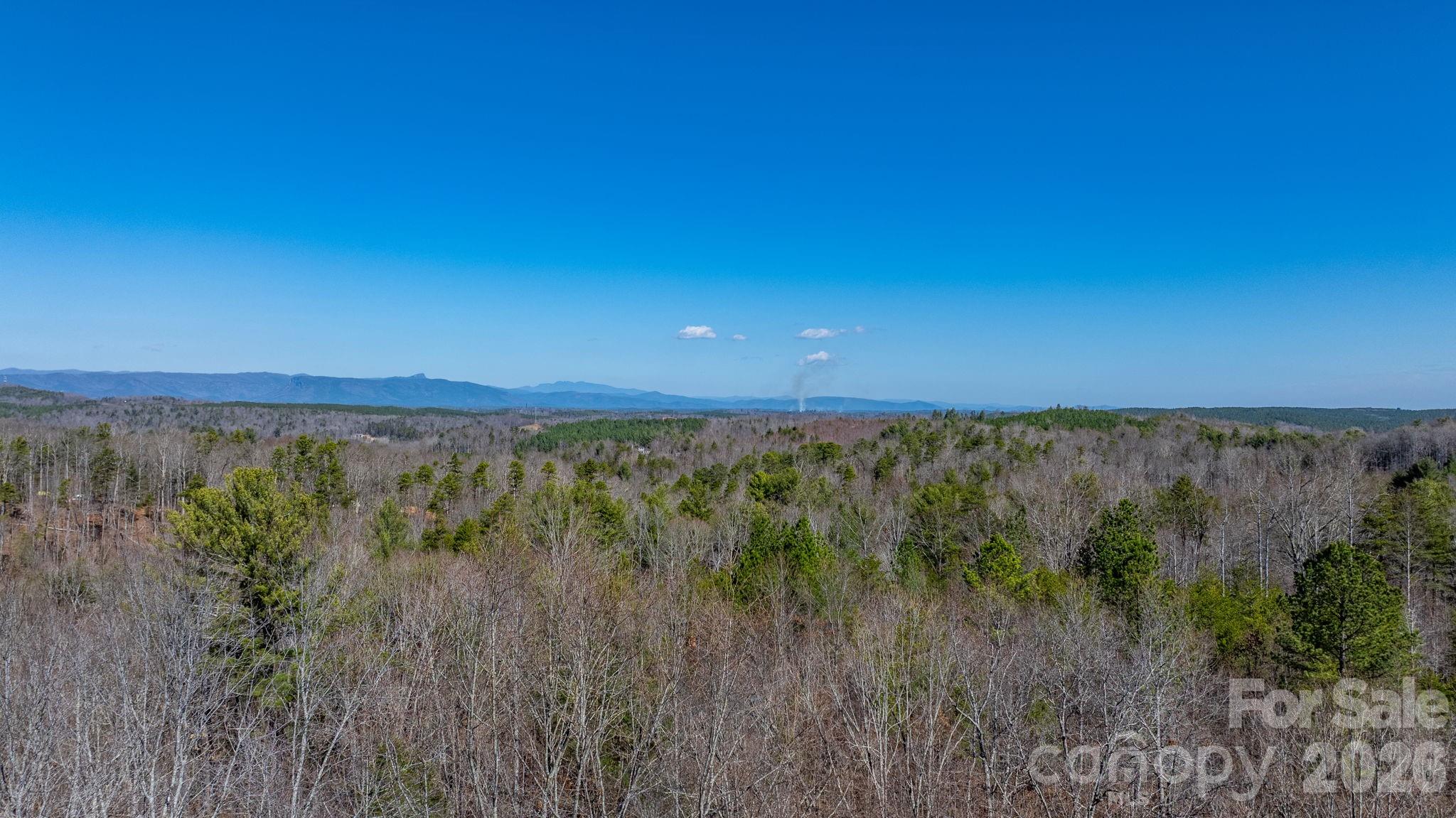Tbd Dirksen Avenue Nebo NC 28761
