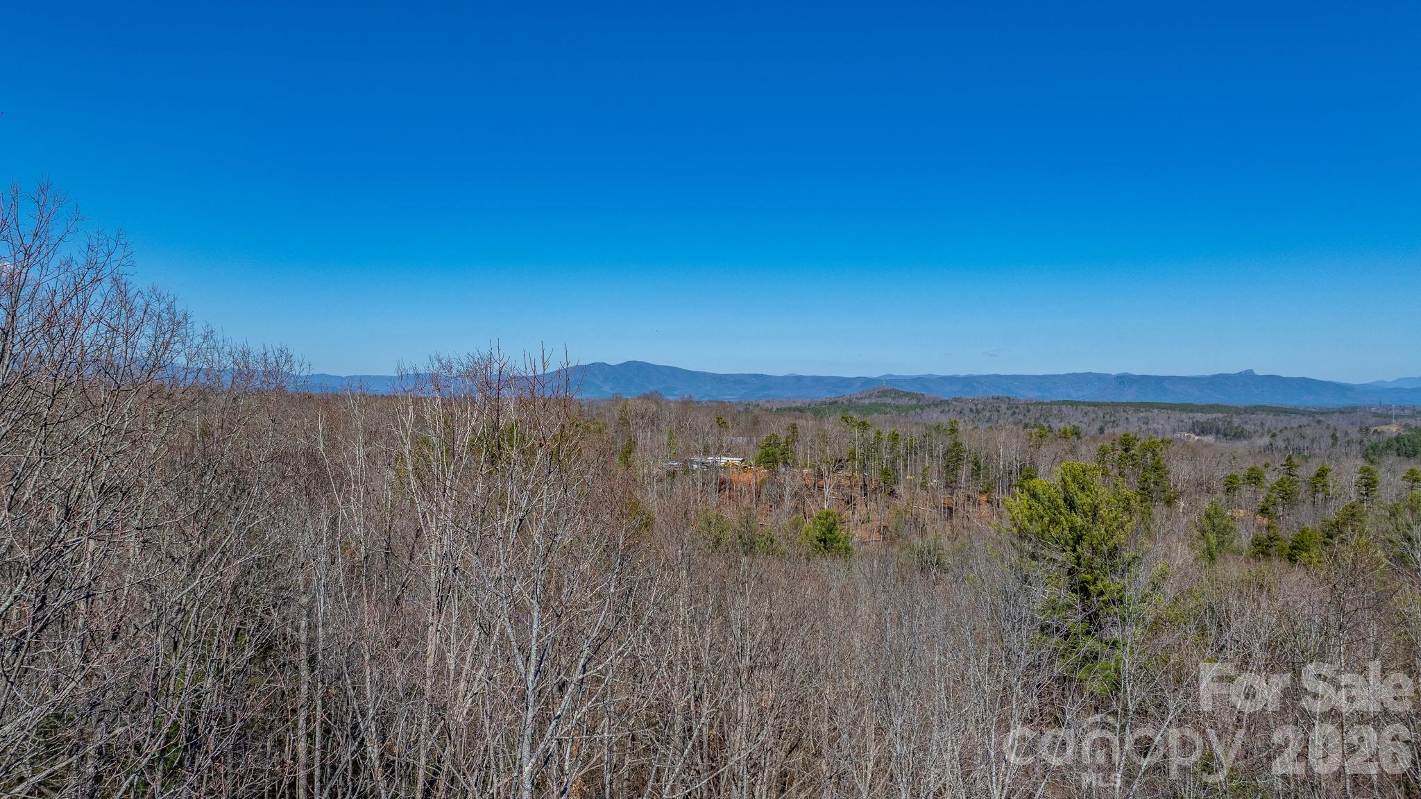 Tbd Dirksen Avenue Nebo NC 28761
