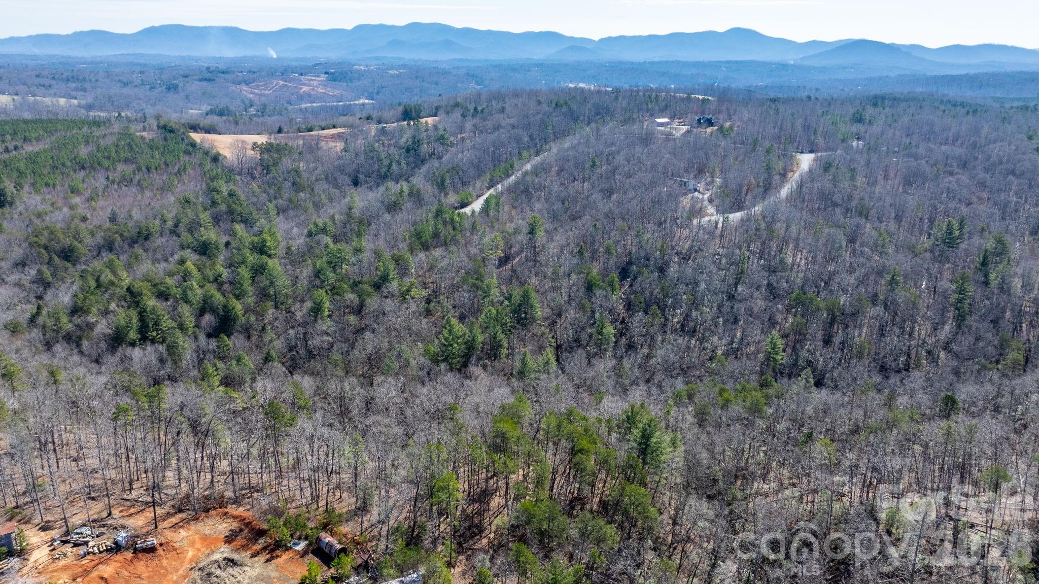 Tbd Dirksen Avenue Nebo NC 28761