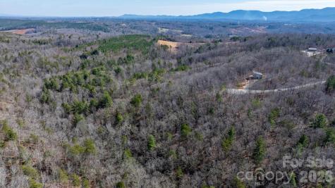 Tbd Dirksen Avenue Nebo NC 28761