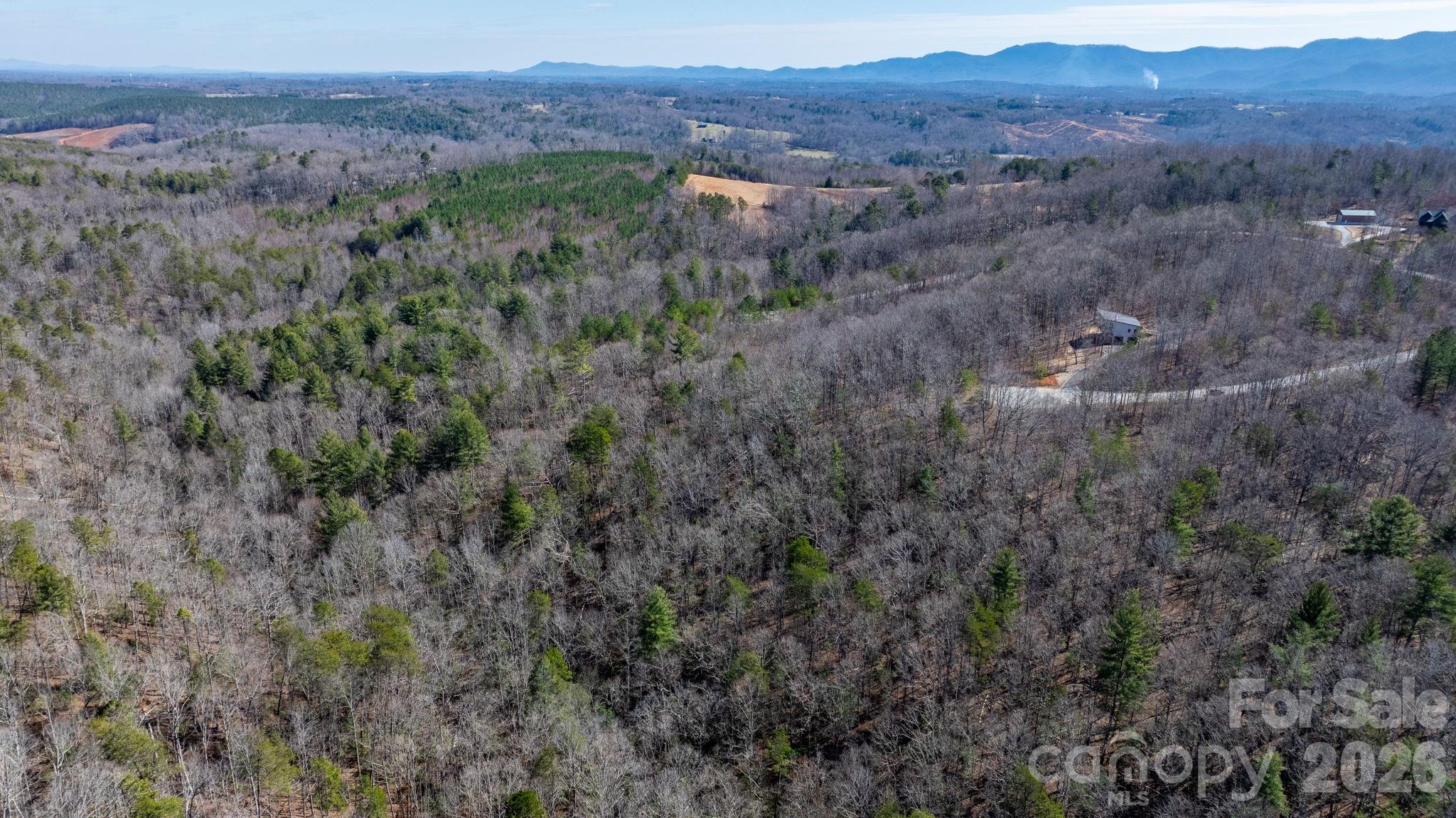 Tbd Dirksen Avenue Nebo NC 28761