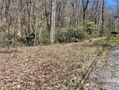 000 Pisgah Mountain Road Canton NC 28716