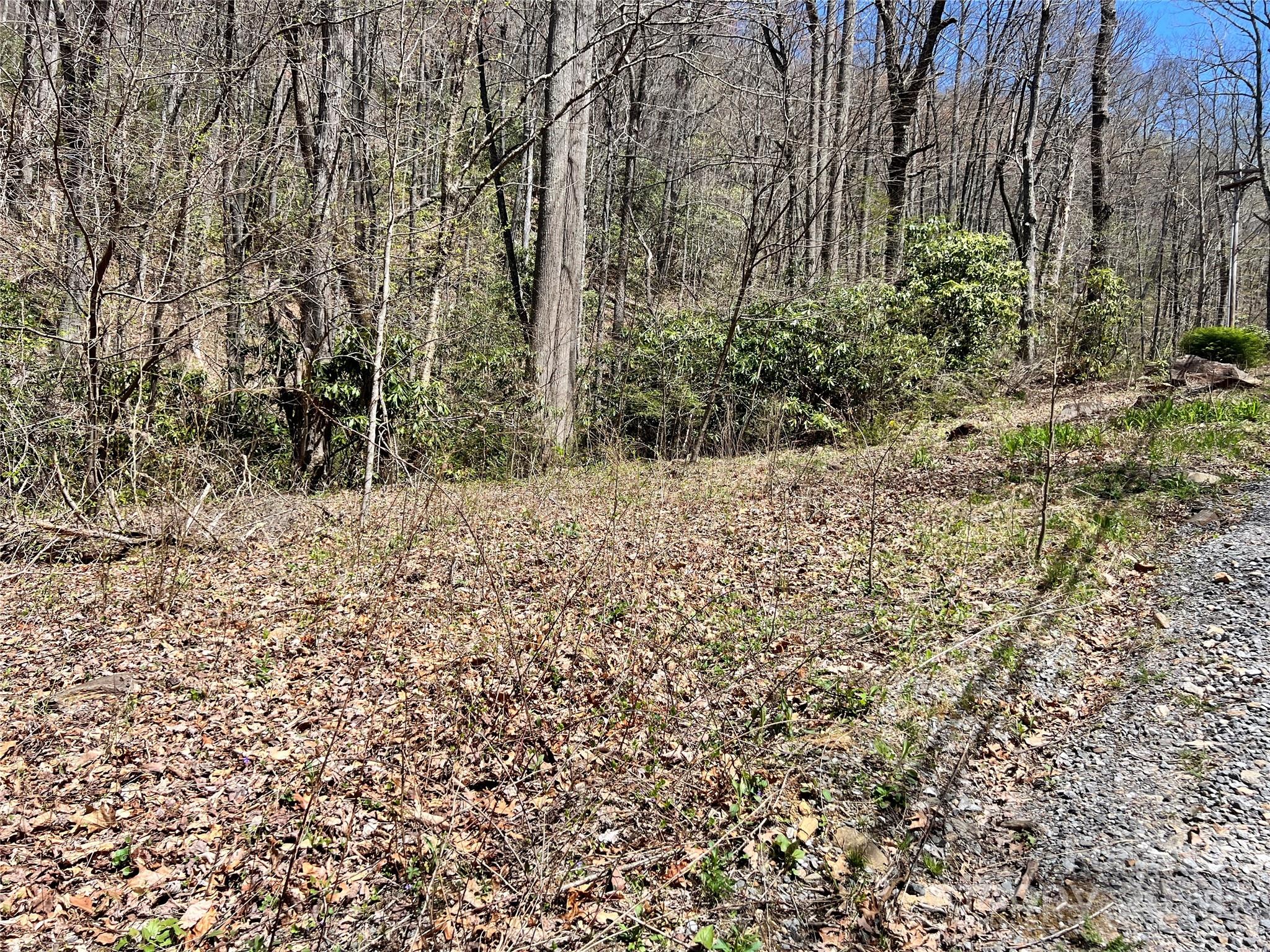 000 Pisgah Mountain Road Canton NC 28716