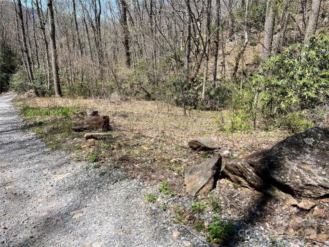 000 Pisgah Mountain Road Canton NC 28716