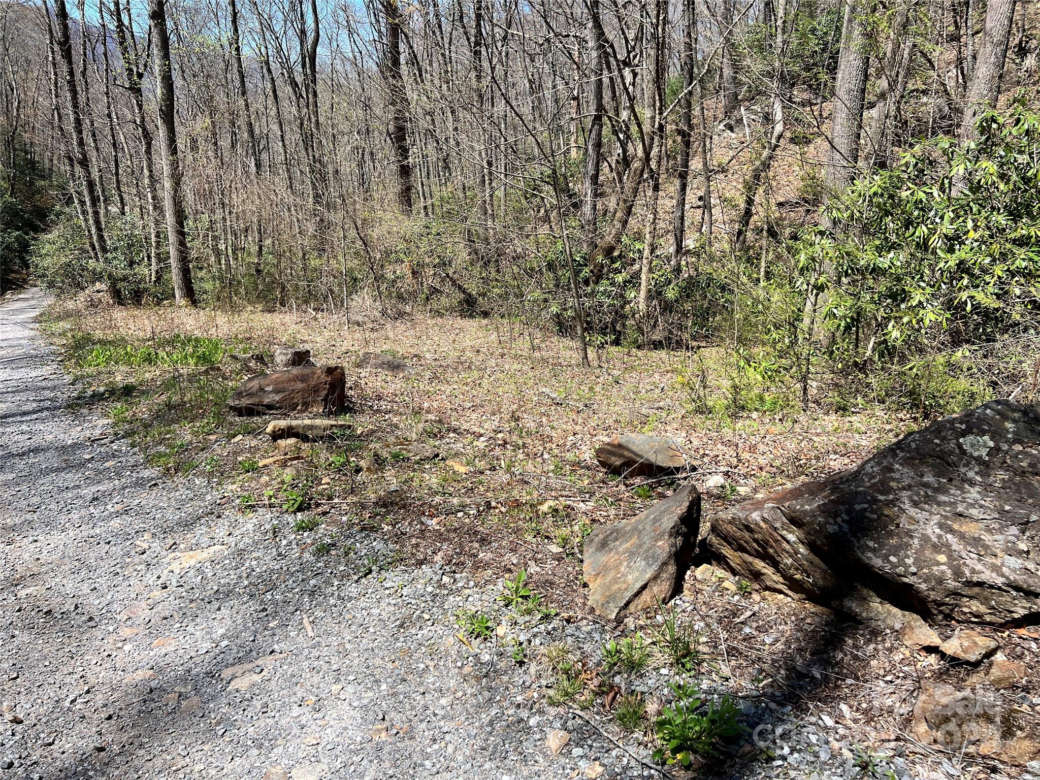 000 Pisgah Mountain Road Canton NC 28716