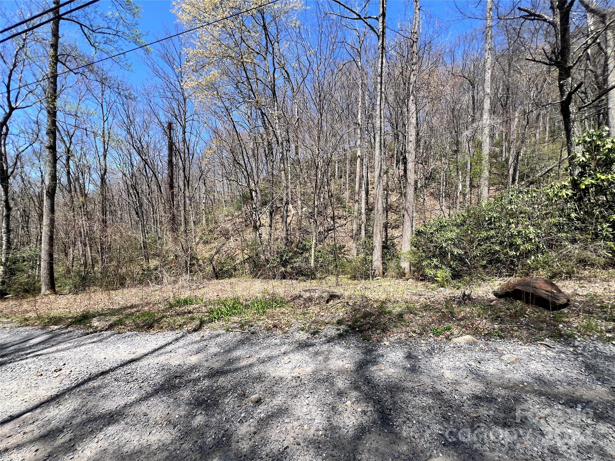 000 Pisgah Mountain Road Canton NC 28716
