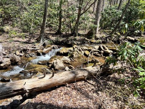 000 Pisgah Mountain Road Canton NC 28716