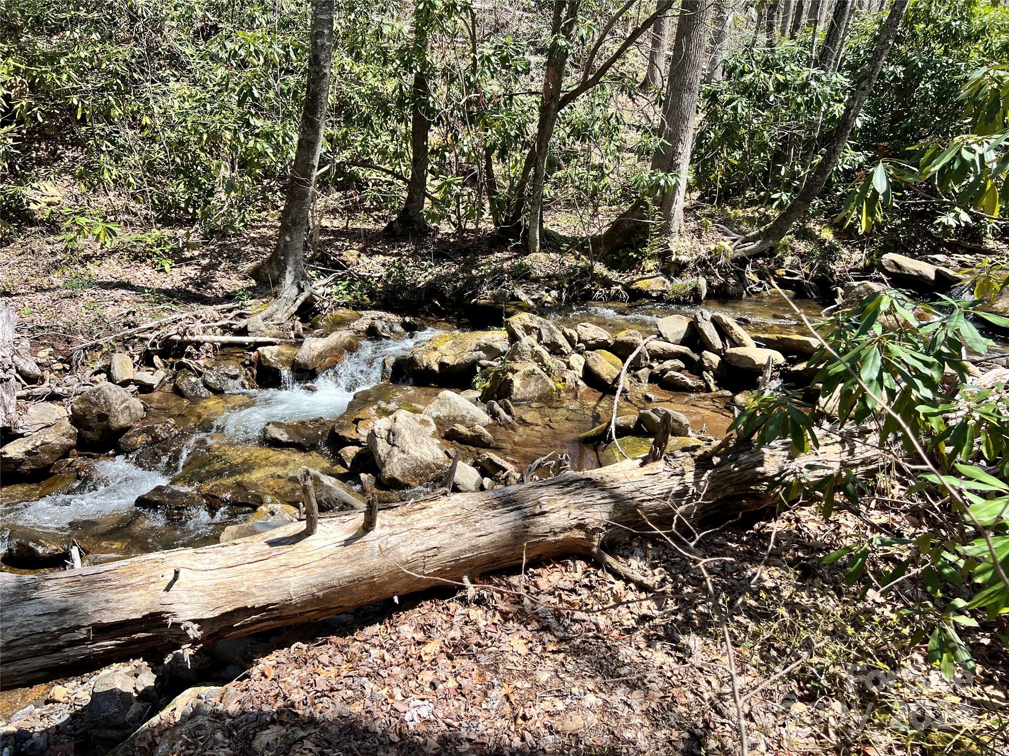 000 Pisgah Mountain Road Canton NC 28716