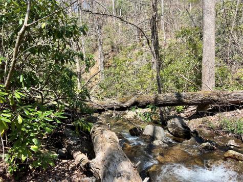 000 Pisgah Mountain Road Canton NC 28716