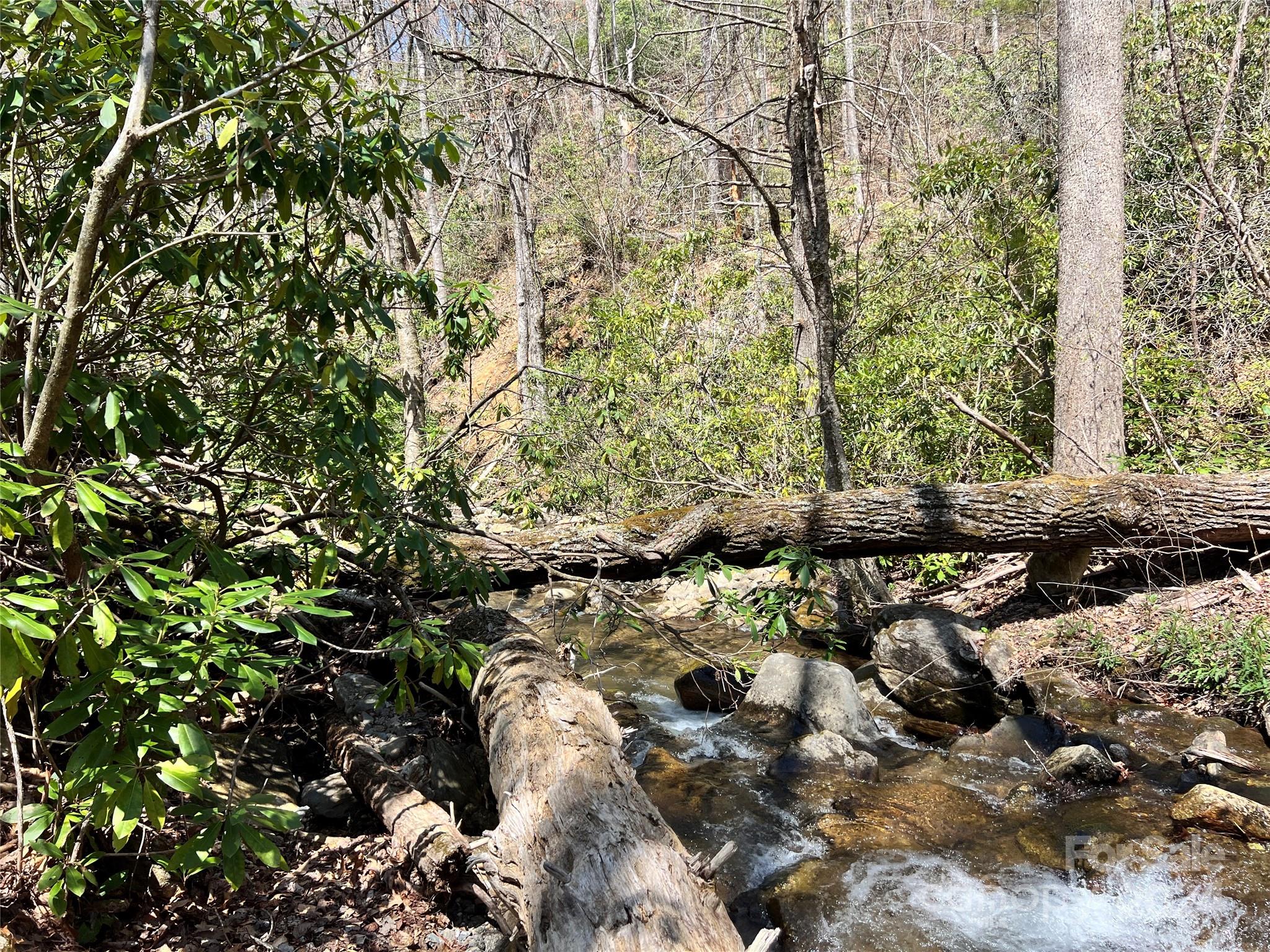 000 Pisgah Mountain Road Canton NC 28716
