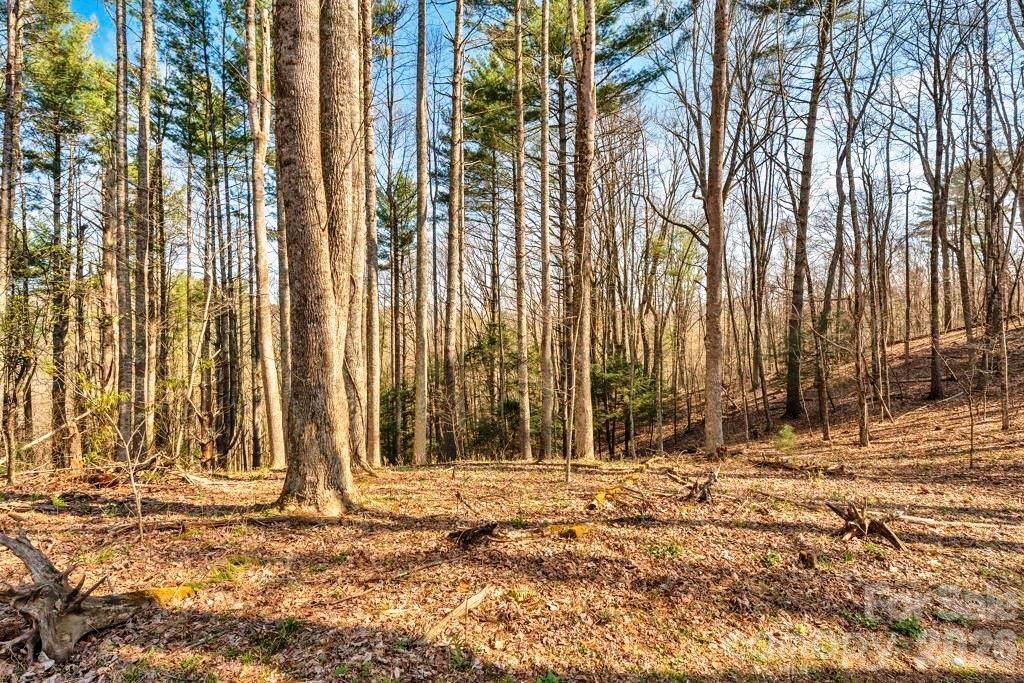Tbd Private Drive Sugar Grove NC 28679
