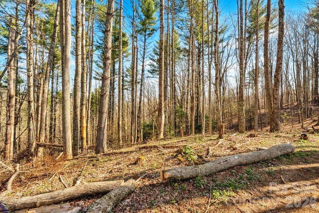 Tbd Private Drive Sugar Grove NC 28679