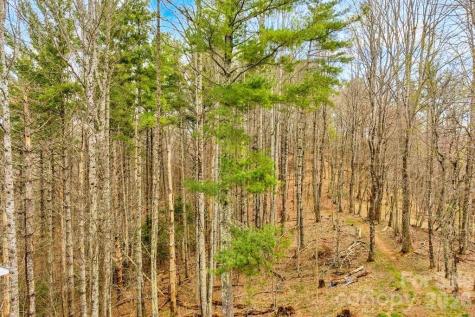 Tbd Private Drive Sugar Grove NC 28679