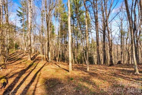 Tbd Private Drive Sugar Grove NC 28679