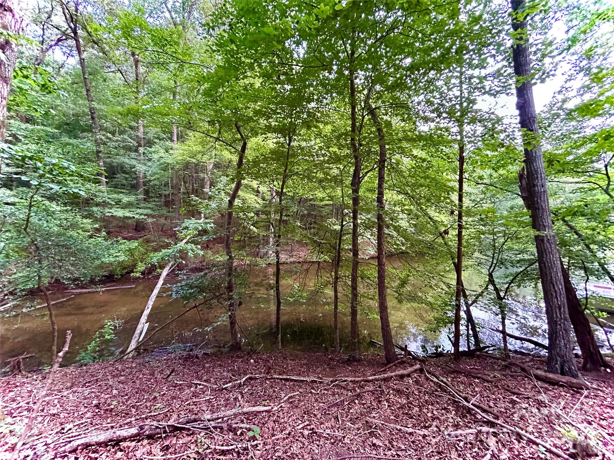 00 Bridgeview Court Norwood NC 28128