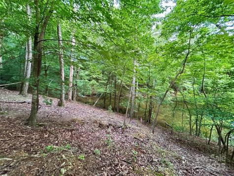 00 Bridgeview Court Norwood NC 28128