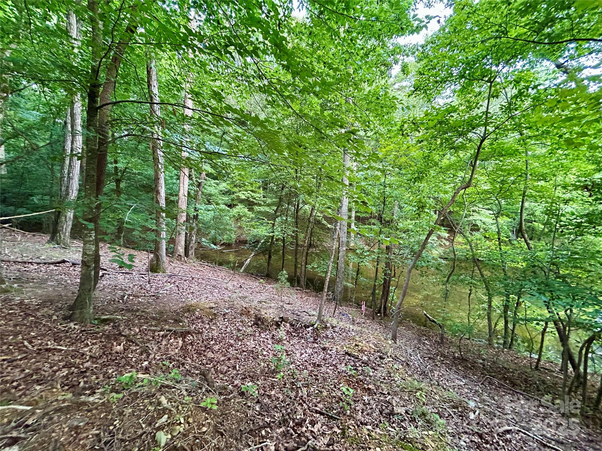 00 Bridgeview Court Norwood NC 28128