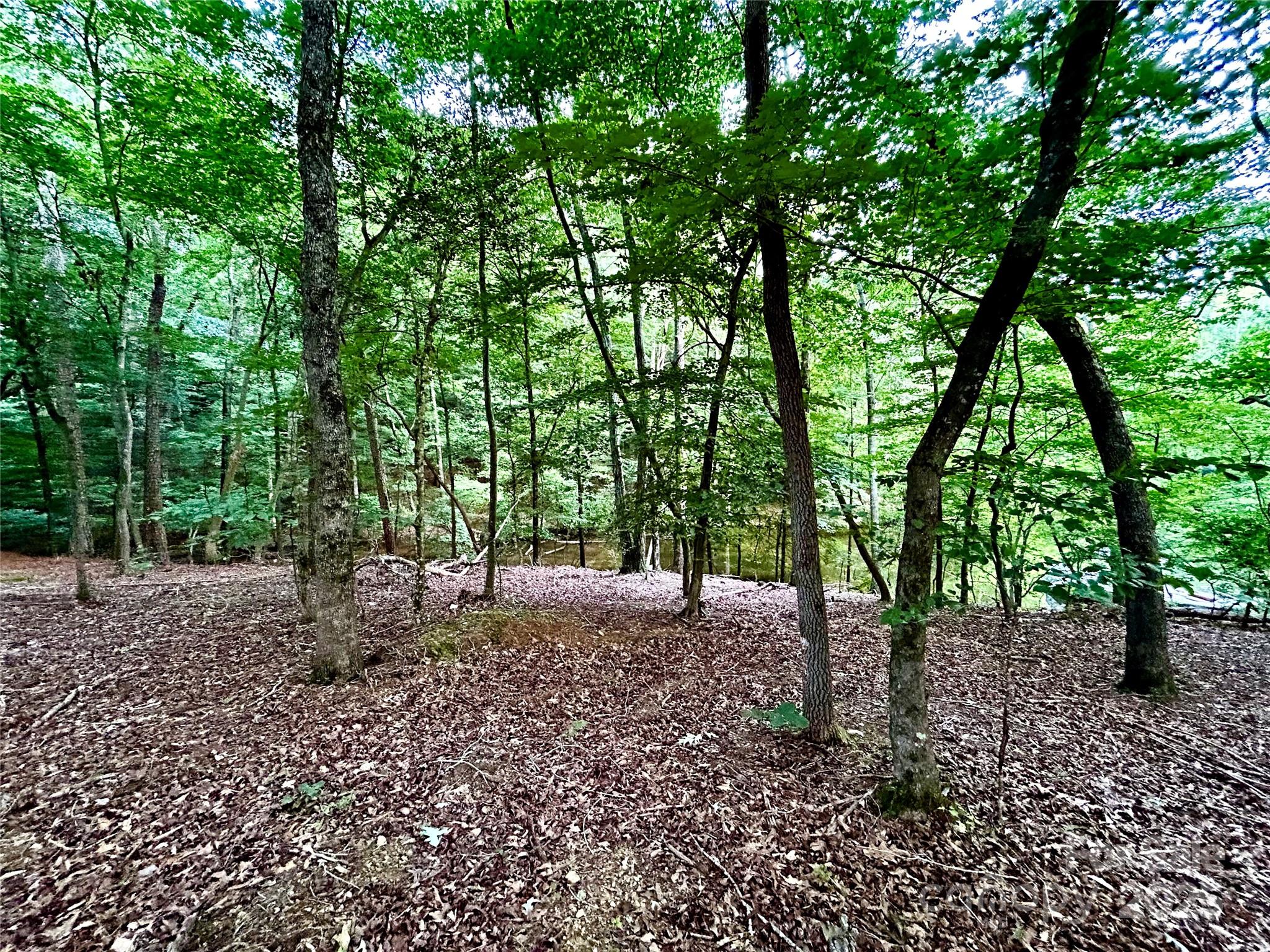 00 Bridgeview Court Norwood NC 28128