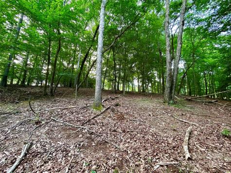 00 Bridgeview Court Norwood NC 28128