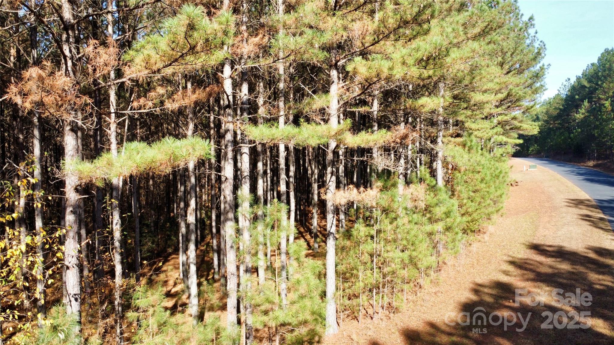 127 Whispering Pines Lane Mooresboro NC 28114